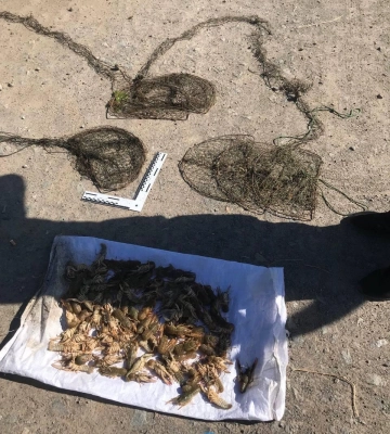 В Одеській області браконьєр наловив раків на 300 тисяч гривень