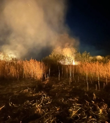 У громаді на Волині ліцеїсти збирали сміття, щоб задонатити для ЗСУ