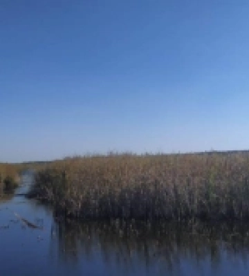 Громаді Дубенщини повернули частину гідрологічного заказника, який безпідставно передали в оренду