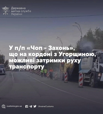 Закарпатські прикордонники виявили старовинну скрипку на кордоні з Угорщиною