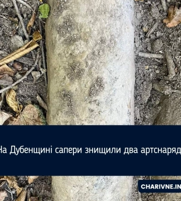 У лісовому масиві на Рівненщині знайшли 2 артилерійських снаряди