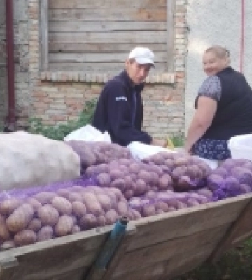 Громада на Волині зібрала овочі для Старовижівської багатопрофільної лікарні