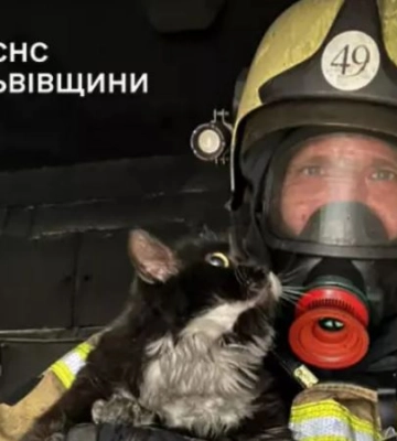 У Кам&#039;янка-Бузькій пожежники врятували з вогню сімох людей та кота