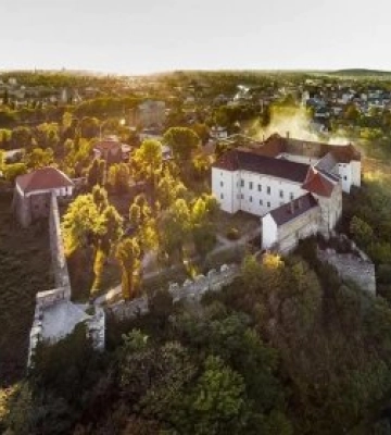 В обласних музеях Закарпаття відбудеться акція «Вільні години»