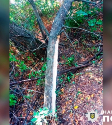 У Полтавській області розслідують смертельний нещасний випадок