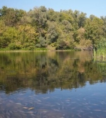 В Черниговской области ухудшается качество воды в реке Сейм — Минприроды