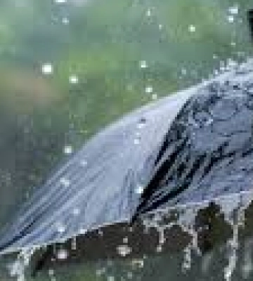 У п'ятницю на Львівщині прогнозують невеликі дощі та грози