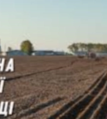 Озима кампанія на Кіровоградщині: майже 106 тисяч гектарів засіяно