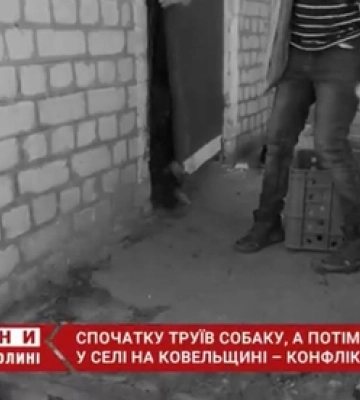 Труїв, кидав голки, а потім застрелив: на Волині чоловік звинувачує сусіда у вбивстві пса (відео)