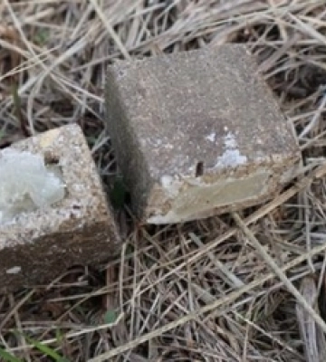 На Волині за 10 днів розкидали майже 400 приманок з вакциною від сказу 