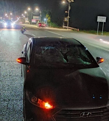 У Луцьку на Ковельській Hyundai збив пішохода