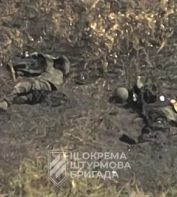 На Харьковщине бойцы 3 ОШБр загнали в посадку и подорвали группу врага. ВИДЕО