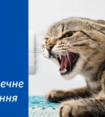 З початку року на Рівненщині зареєстрували 48 випадків сказу тварин