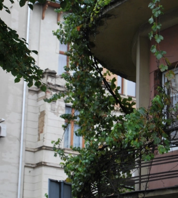 На Франківщині очікується гроза, сильний дощ та вітер
