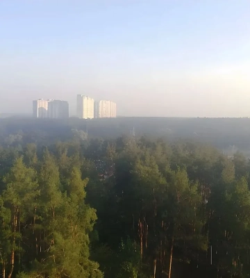 &quot;Смог у столиці виник з інших причин&quot;: у &quot;Лісах України&quot; спростовують погіршення якості повітря через пожежі в лісництвах на Київщині