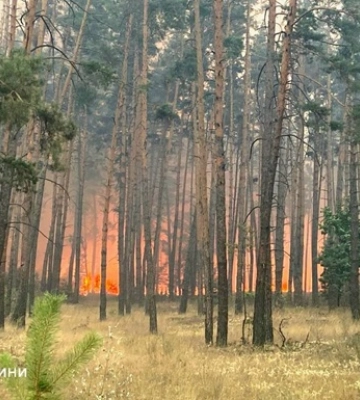 Лесной пожар в Харьковской области охватил почти 1 тыс. га