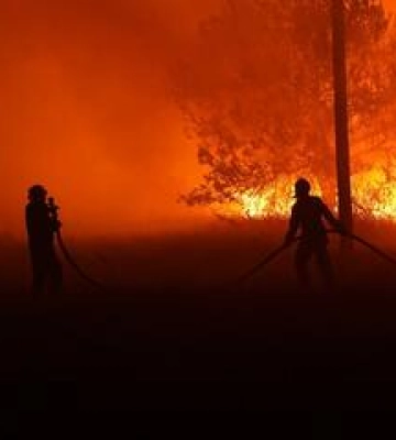 Чому на Полтавщині так багато лісових пожеж