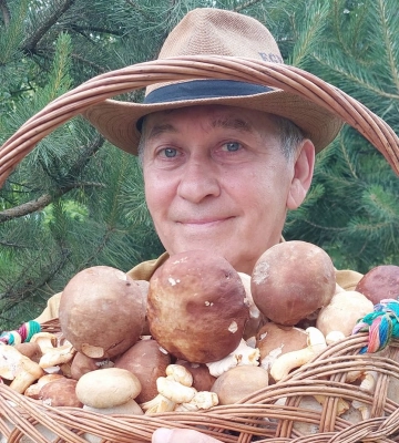Куди зникли гриби з лісів Рівненщини?
