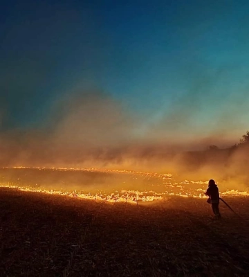 На Черкащині горіли два гектари сухостою та сміття через необережність під час куріння