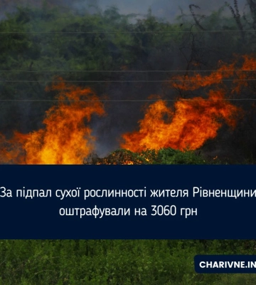 За підпал сухої рослинності жителя Рівненщини оштрафували на 3060 грн