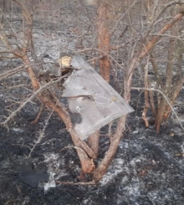 Через уламки російського дрона загорілися ліси на Полтавщині