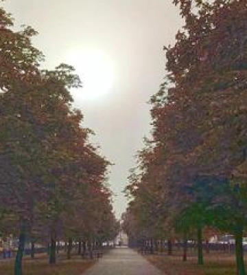 Полтаву накрила пилова буря
