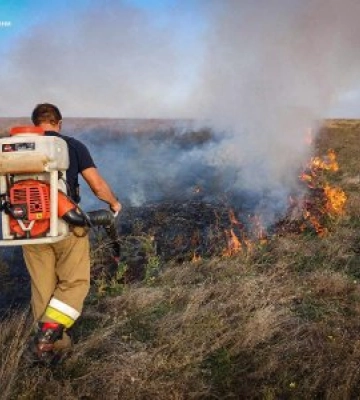 На Миколаївщині з&#039;явилося ще дві патронатні сім&#039;ї
