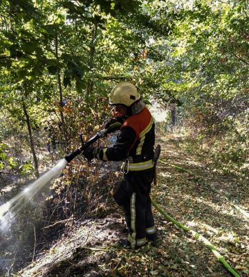 За минулу добу вогнеборці 20 разів ліквідовували загоряння сухої рослинності на Сумщині, зокрема і у Шостці