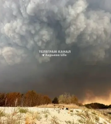 На Харківщині горить майже тисяча гектарів лісу