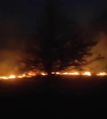Збройна агресія спричинила лісові пожежі на Сумщині: за добу знищено щонайменше 50 гав лісу