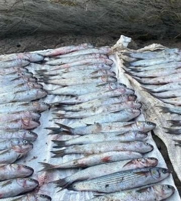 РФ атакує Одеську область балістикою: що відомо