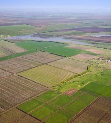 Земельний банк запрацював: сьогодні відбулися перші аукціони з оренди держземлі