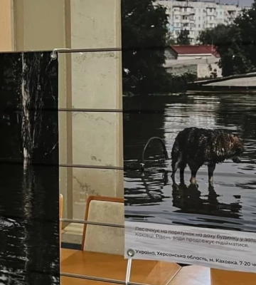У Верховній Раді пройшла виставка зі світлинами з постраждалих від російської агресії областей, зокрема Херсонщини