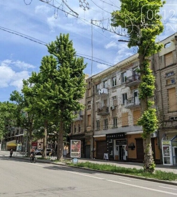 Трирічний мораторій на омолоджувальну обрізку дерев: ДЖКГ Миколаєва підтримало рекомендації облкомісії