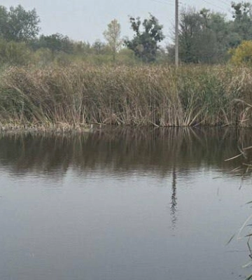 На Полтавщині під час риболовлі помер чоловік