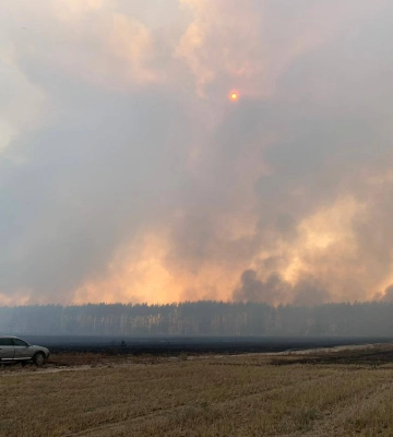 РФ обстріляла ліс на Харківщині: горять 15 га (фото, відео)