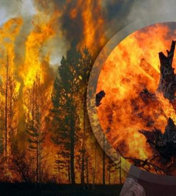 Лісові пожежі охопили окуповані території Луганщини та Донеччини: як реагують росіяни