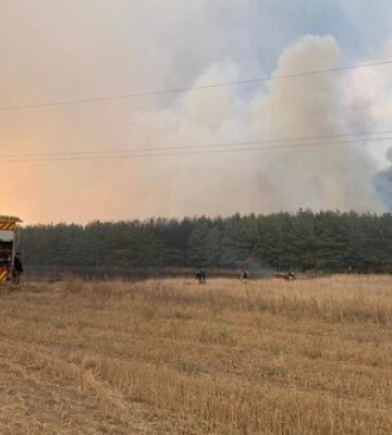 Внаслідок російського обстрілу на Харківщині загорілися 15 гектарів лісу. ВІДЕО+ФОТОрепортаж