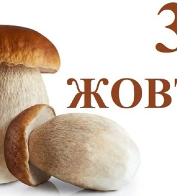 3 жовтня: свята, народні прикмети, іменинники, події