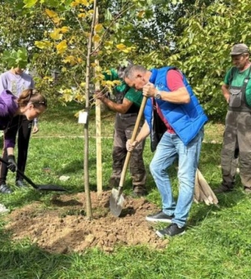 У Львові висадять 326 подарованих дерев та кущів