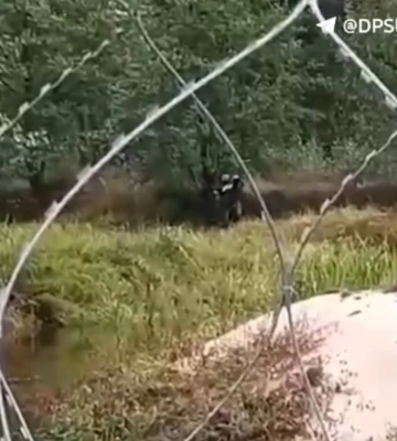 Задержан нарушитель госграницы, который заблудился в лесах, надеясь дойти до Польши
