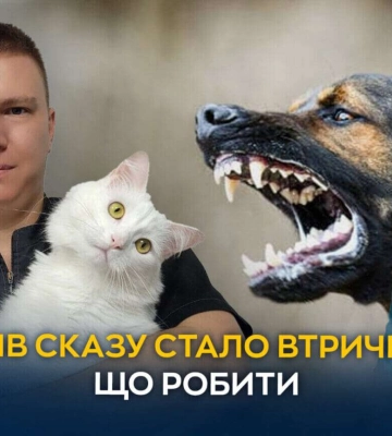 Як захистити домашніх тварин від сказу: поради ветеринарів з Дніпра