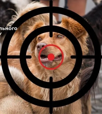 Росіяни відстрілюють бездомних собак на окупованій Херсонщині - Спротив