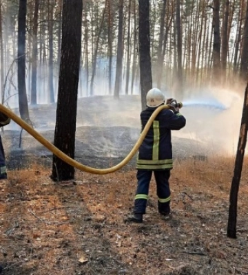 На Харківщині рятувальники з трьох областей гасять масштабну пожежу