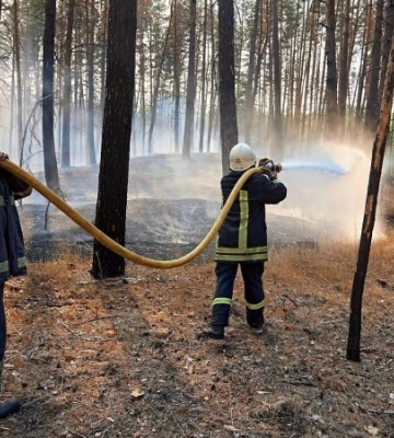 На Харківщині рятувальники третю добу гасять масштабну лісову пожежу