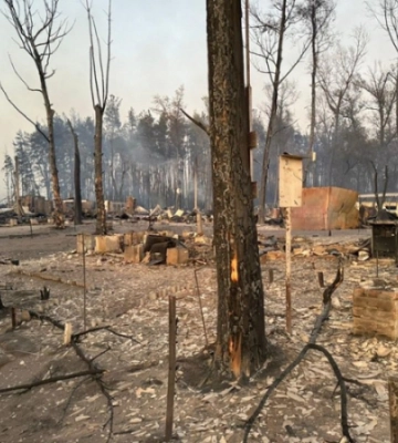 На Харківщині через лісову пожежу згоріло ціле селище, загинули чотири людини