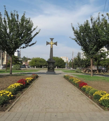У Миколаєві вандали вчергове викрали саджанці та зламали квіти на різних локаціях