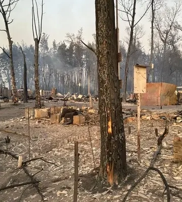 На Харківщині через лісову пожежу згоріло ціле село, четверо людей загинули