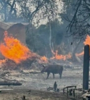 Росіяни вдарили по Чернігівщині: здетонували балони з газом, є загиблі