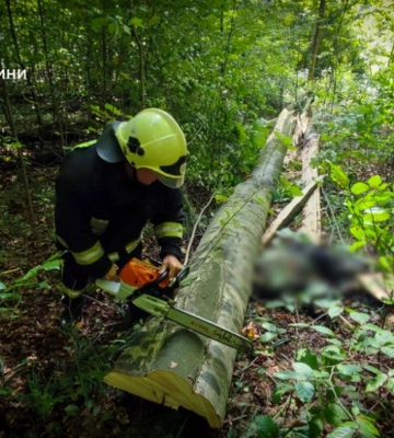 На Львівщині сталось вбивство